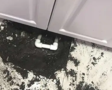 威宁查漏水哪家好